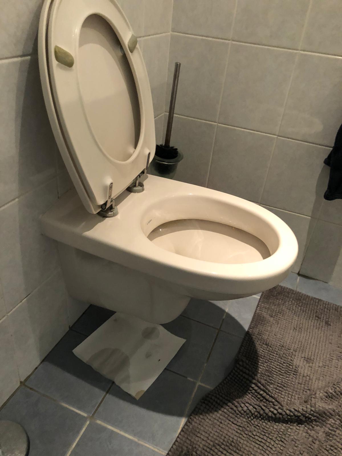 hangtoilet Veghel